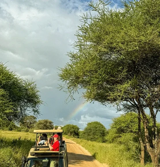 Aberdares Mountain Ranges Adventure Trekking