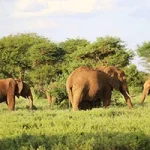 Aberdares Mountain Ranges Adventure Trekking