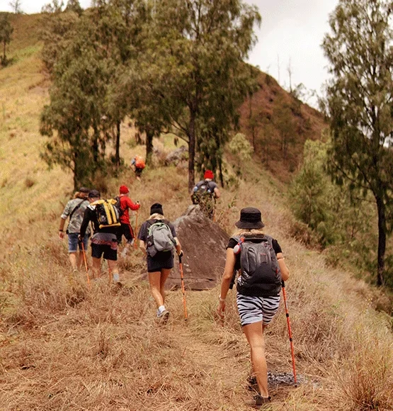 Mount Kilimanjaro Trekking Lemosho – Shira Route
