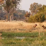 Aberdares Mountain Ranges Adventure Trekking